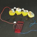 Pro pokus budeme potřebovat dva citrony, měděný a zinkový plíšek, drátky, svorkovnici a malou kalkulačku (foto: Žaludová)