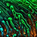 Zanechte všech nadějí. Fotografie Jana Valenty pořízená technikou interferenční makrofotografie (autor: Jan Valenta) 