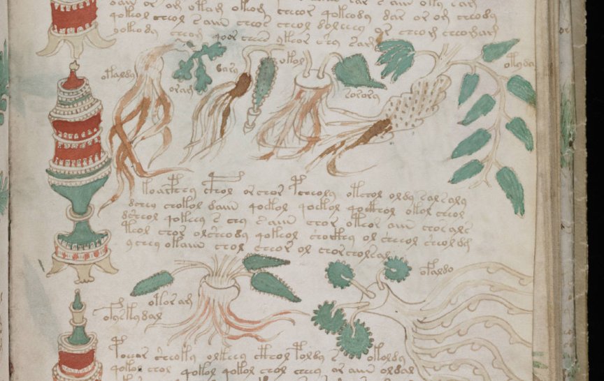 Foto č. 2 - Přírodovědná část Voynichova manuskriptu. Převzato z: The Voynich Gallery.