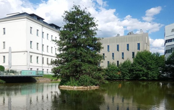 Doktorand v Rakousku: Preciznost se tu moc nenosí