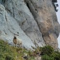 Výlet na vrcholek Chamechaude (foto: archiv autorky)