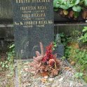 Foto č. 3 - Hrob prof. Nečase na Vinohradském hřbitově. (foto: V. Kemenny)