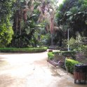V centru Malagy se nachází kouzelný park. Asi je to tím, že v Česku nemáme palmy, ale já jsem si připadal jako v tom nejkrásnějším parku na světě (foto: J. G. Jarkovský)