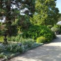 Voľne prístupná botanická záhrada v meste