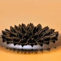 FotoFest MFF UK - Ferrofluid Island, Lucie Filipenská