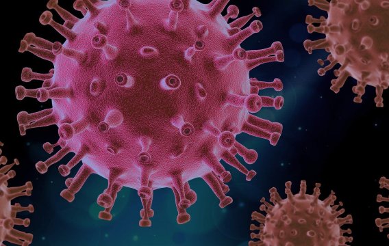 Matematika koronaviru: Matematické modely šíření epidemie