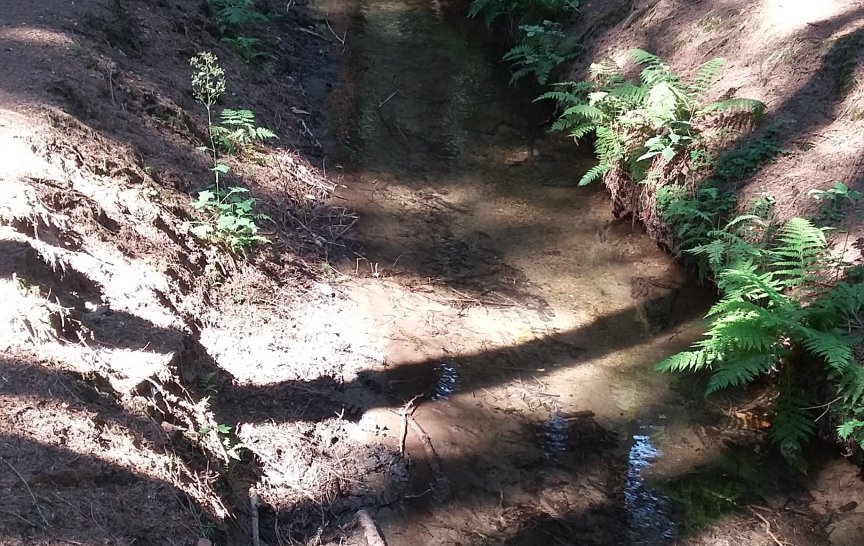 Vodní kanál v Údolí ztracených štol (foto: V. Koudelková)