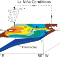 Fáze La Niña: Zvýraznění neutrální fáze, pasáty jsou silnější, k západnímu pobřeží Jižní Ameriky proniká z hlubin více studené vody 