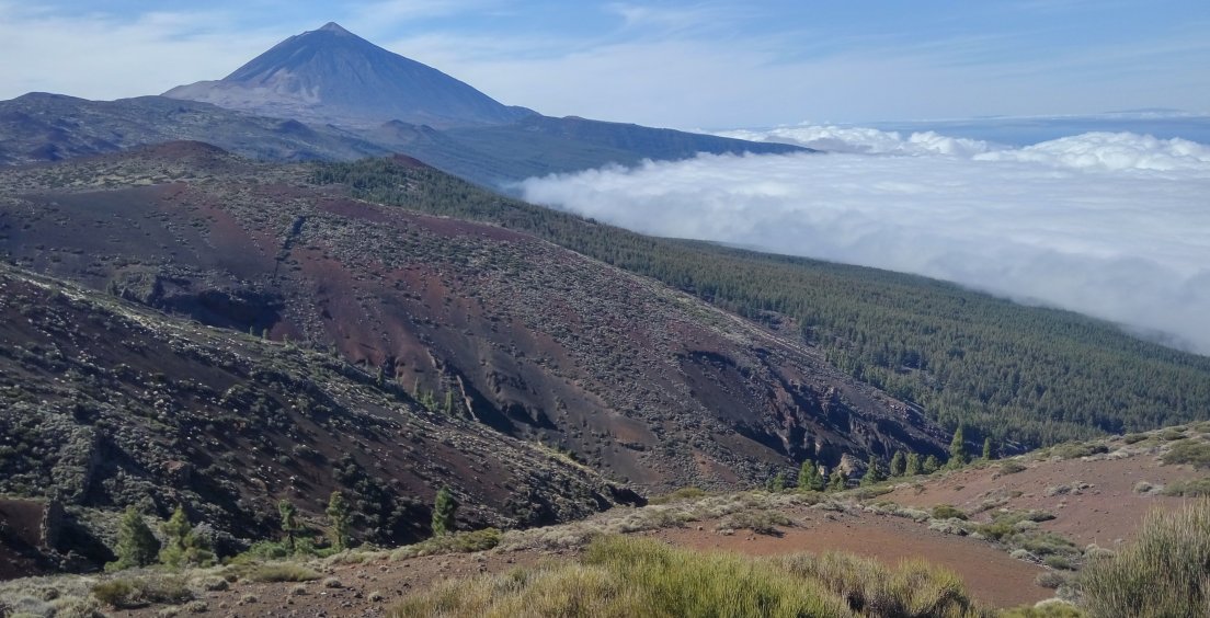 Zápisky z Erasmu: Universidad de Las Palmas de Gran Canaria III