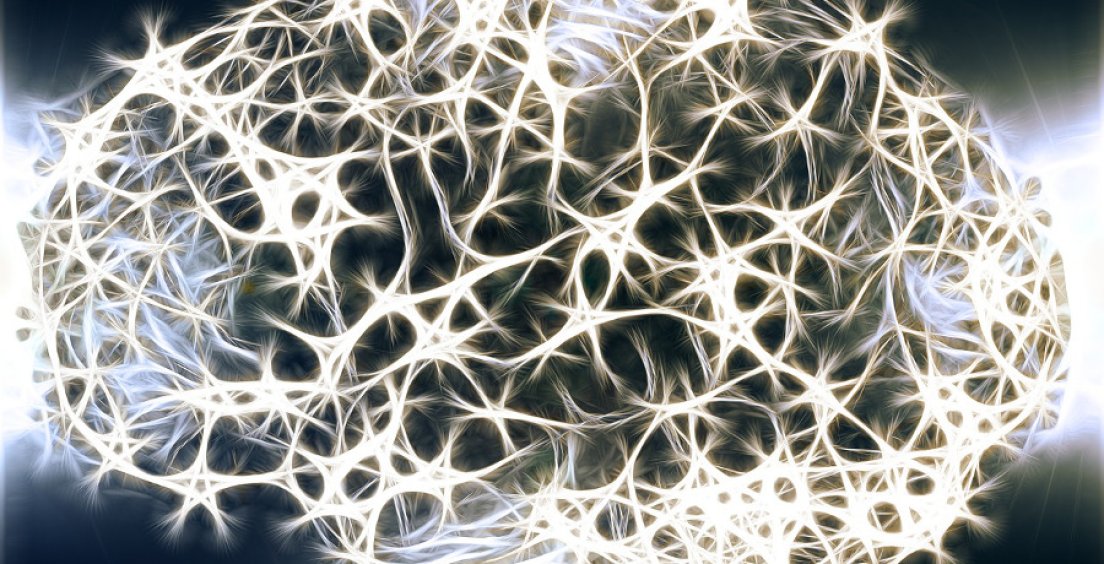 Aktualita z fyziky: Chová se mozek podobně jako spinová skla?