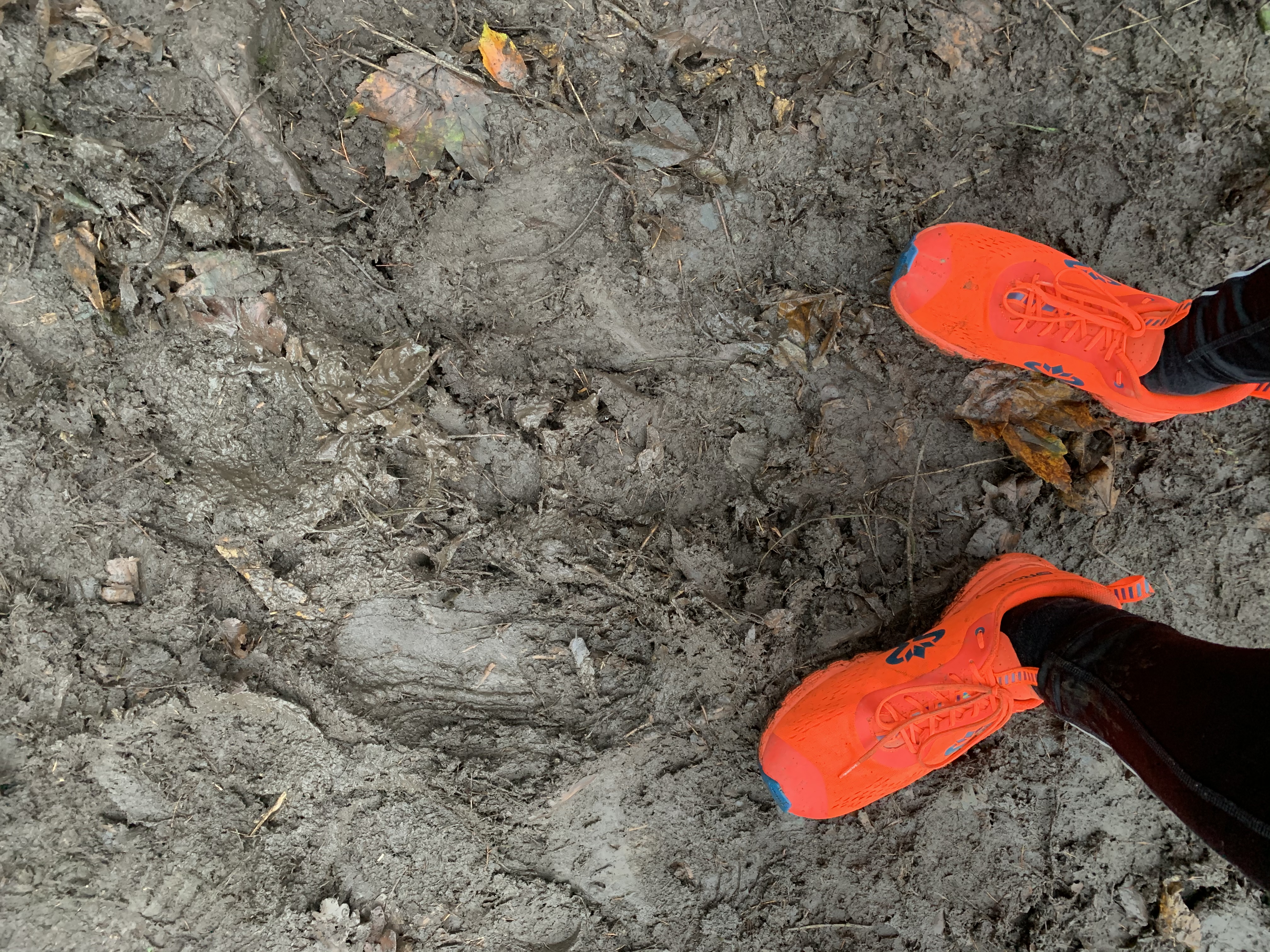 Celkem 51 865 km urazili sportovci během Matfyzácké výzvy (foto: M. Zukerstein)