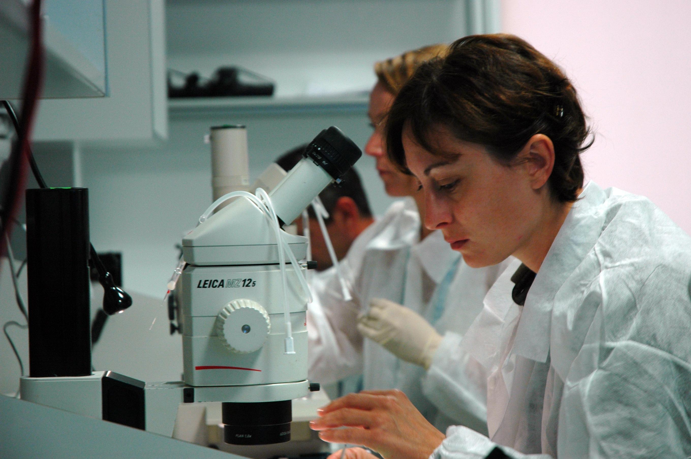 Aktuality z fyziky IV