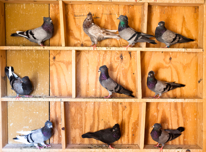 Aktuality z fyziky V