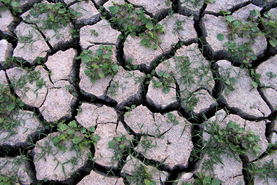 Aktuality z fyziky XX