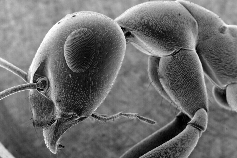 Univerzita třetího věku: Fyzika pro nefyziky