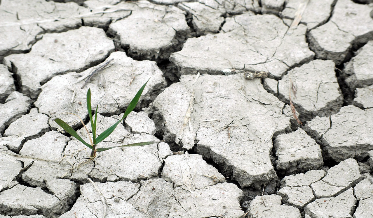 Proměny klimatu na naší planetě