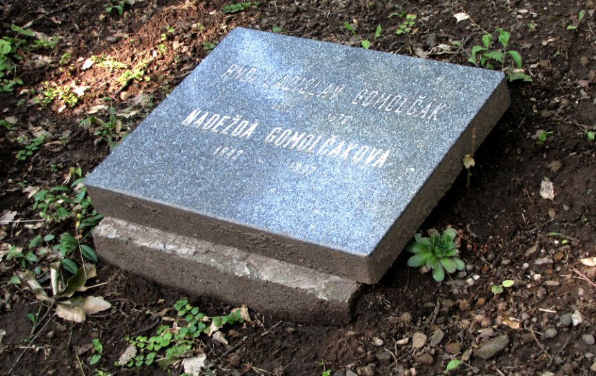 Ladislav Gomolčák zemřel předčasně ve věku čerstvých 44 let
