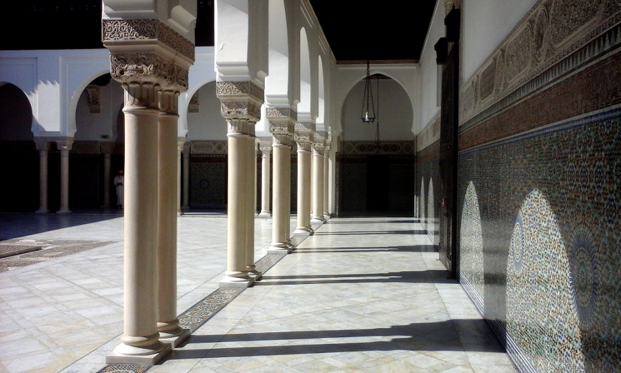 Zápisky z Erasmu: Francie, Université Pierre et Marie Curie III