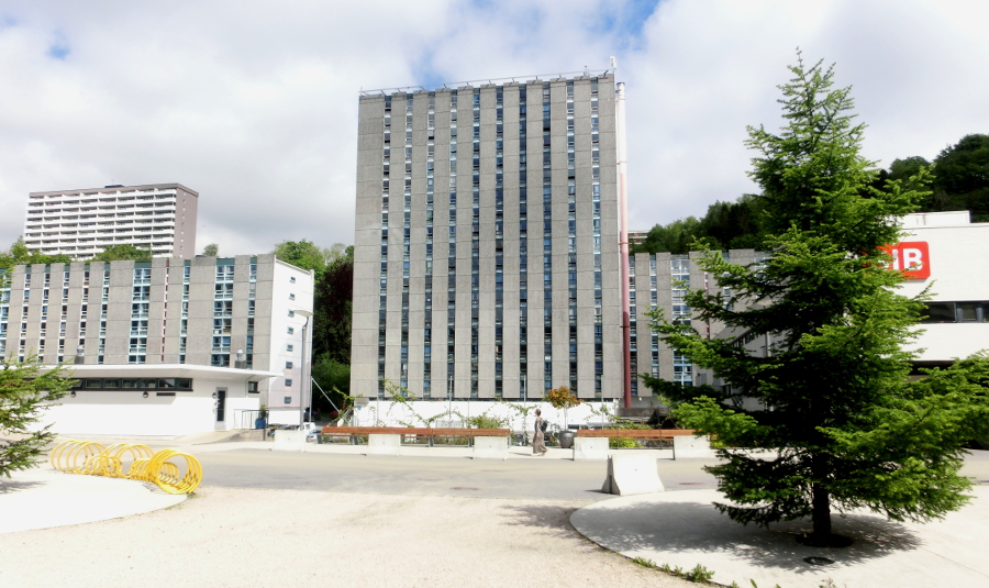 Zápisky z Erasmu: Norsko, Universitetet i Bergen III