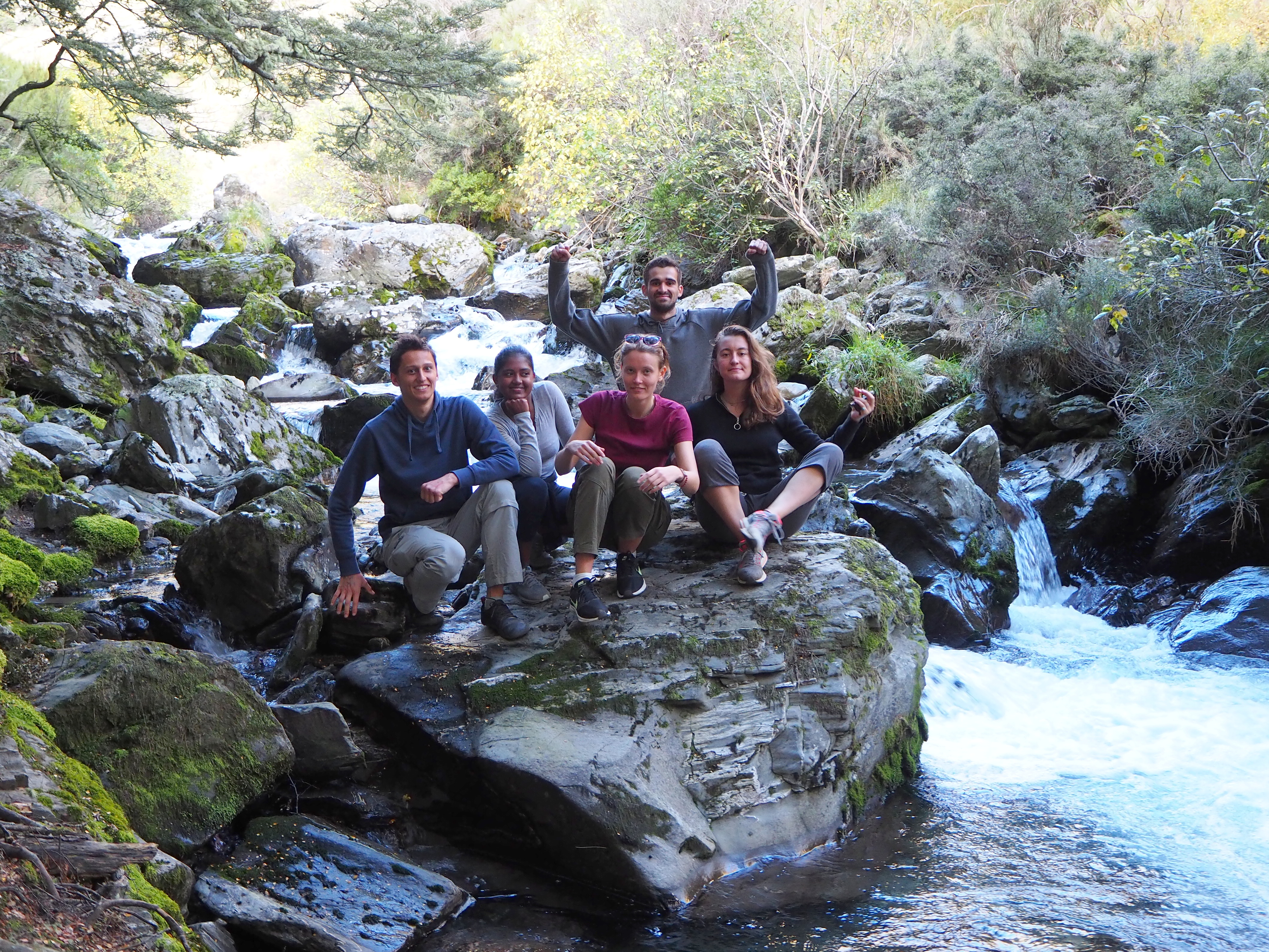 Za studiem k protinožcům II
