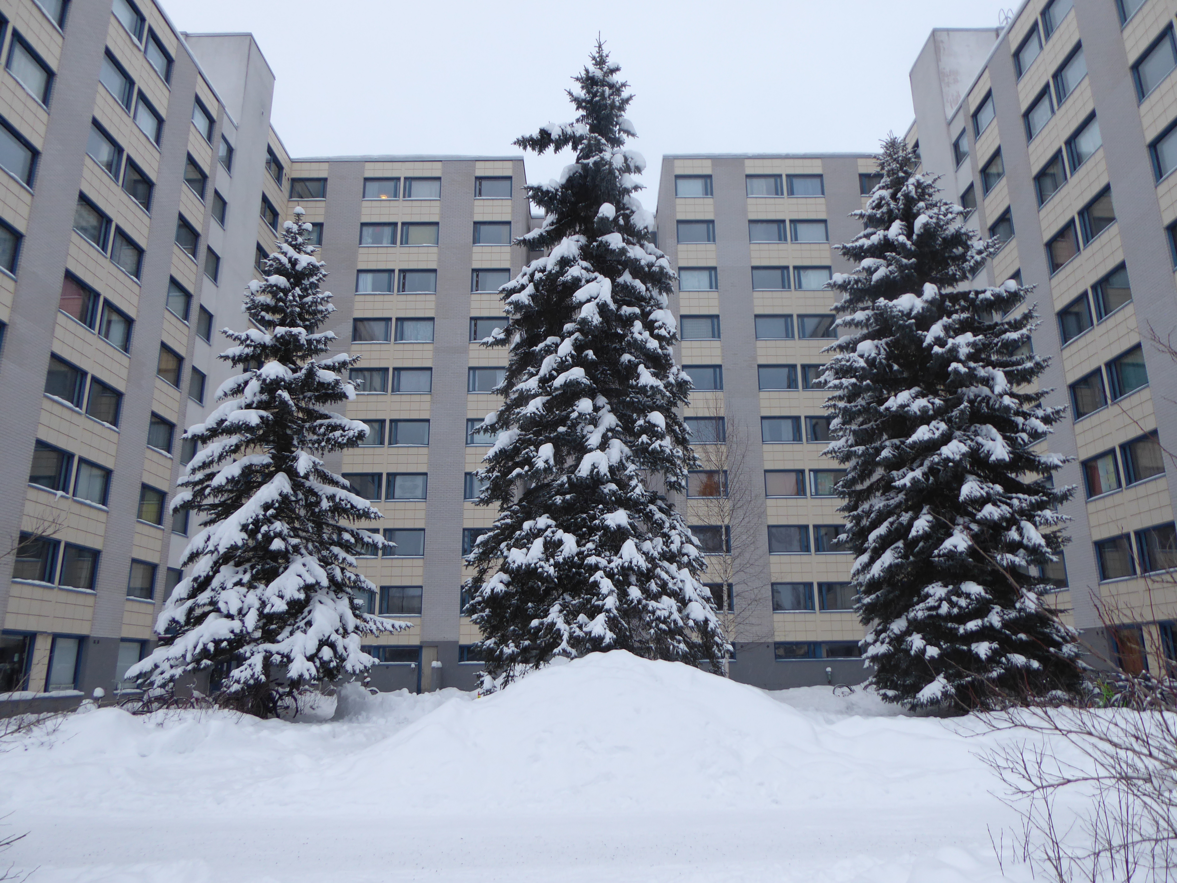 Zápisky z Erasmu: Finsko, Jyväskylän yliopisto I