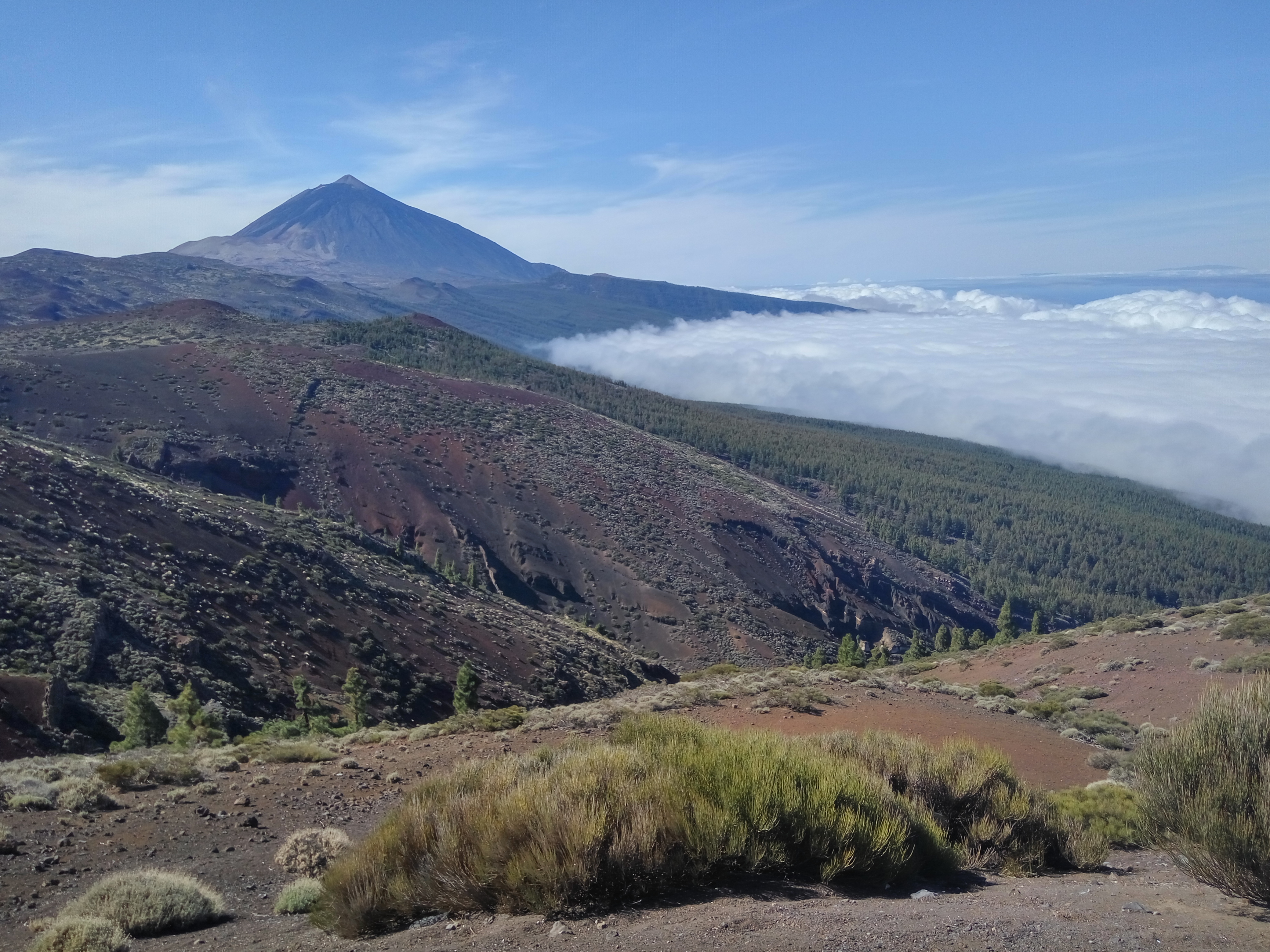 Zápisky z Erasmu: Universidad de Las Palmas de Gran Canaria III